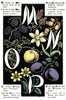Digital Download "The Alphabet of Flowers and Fruit" M N O P (c.1856) - Instant Download Printable - thirdshift