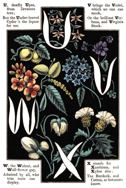Digital Download 