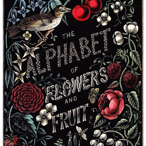 Digital Download "The Alphabet of Flowers and Fruit" Cover (c.1856) - Instant Download Printable - thirdshift