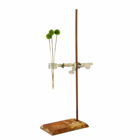 Vintage Industrial Cast Iron Lab Stand with Clamps & Test Tube (c.1950s) N2 - thirdshift