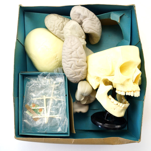 DSC05004_grande.JPG?v=1566059989