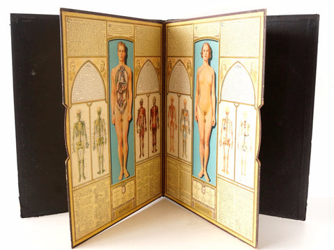 Vintage "Bodyscope" Illustrated Anatomical Book with Dials (c.1935) - thirdshift