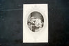 Vintage / Antique Print "Ianthe", a Young Woman at her Vanity (c.1800s) - thirdshift