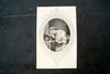 Vintage / Antique Print "Ianthe", a Young Woman at her Vanity (c.1800s) - thirdshift