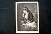 Vintage / Antique Print of a Young Woman titled "Catarina" by F. Diaz Carreno (c.1800s) - thirdshift