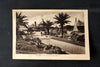 Vintage French Postcard (Carte Postale) NICE, Un coin du Jardin Albert 1er (c.1900) - thirdshift