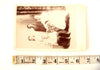 Antique Photograph Cabinet Card of Annie, Herbert, Mary and Harold Milbrath (c.1890s) - thirdshift