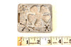 Vintage Fun Flowers Creepy Crawler Mold for Mattel Thingmaker #4520-053 (c.1966) - thirdshift