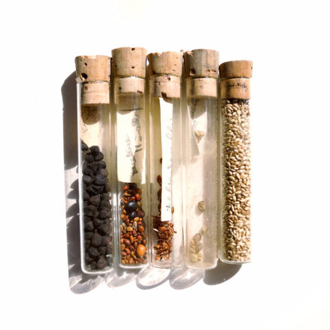 Vintage / Antique Heirloom Garden Seeds in Glass Vials, Set of 5 (c.1910s) N4 - thirdshift