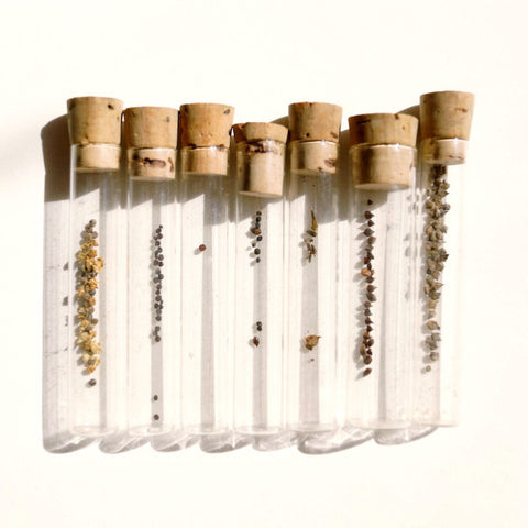 Vintage / Antique Heirloom Garden Seeds in Glass Vials, Set of 7 (c.1910s) N2 - thirdshift