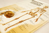 Vintage 3D Human Body Chart, Skeletal System, Human Skeleton Anatomy (c.1980s) - thirdshift