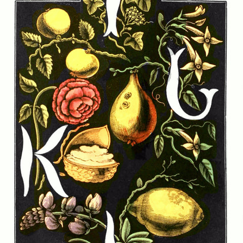 Digital Download "The Alphabet of Flowers and Fruit" I J K L (c.1856) - Instant Download Printable - thirdshift
