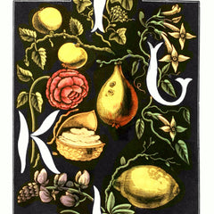 Digital Download "The Alphabet of Flowers and Fruit" I J K L (c.1856) - Instant Download Printable - thirdshift