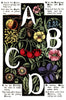 Digital Download "The Alphabet of Flowers and Fruit" A B C D (c.1856) - Instant Download Printable - thirdshift