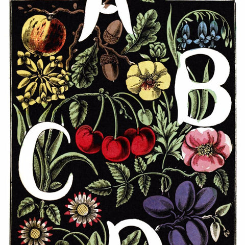 Digital Download "The Alphabet of Flowers and Fruit" A B C D (c.1856) - Instant Download Printable - thirdshift
