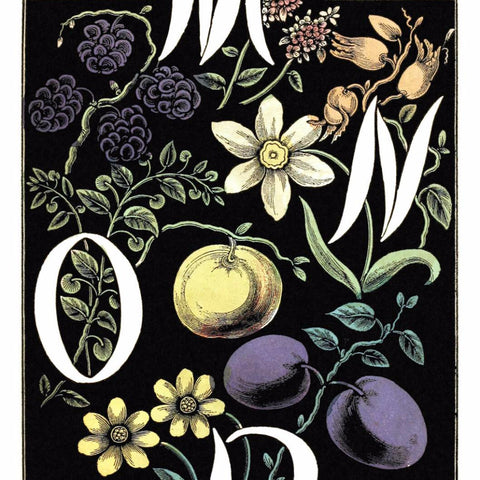 Digital Download "The Alphabet of Flowers and Fruit" M N O P (c.1856) - Instant Download Printable - thirdshift