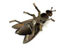 Vintage Brass Fly Ashtray / Trinket Box with Pivoting Wings, Made in Italy (c.1930s) - thirdshift