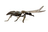 Vintage Brass Fly Ashtray / Trinket Box with Pivoting Wings, Made in Italy (c.1930s) - thirdshift