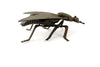 Vintage Brass Fly Ashtray / Trinket Box with Pivoting Wings, Made in Italy (c.1930s) - thirdshift