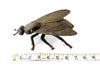 Vintage Brass Fly Ashtray / Trinket Box with Pivoting Wings, Made in Italy (c.1930s) - thirdshift