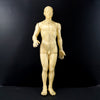 Vintage Male Acupuncture Model with Stand, 19-1/2" tall (c.1970s) N2 - thirdshift