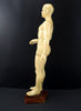 Vintage Male Acupuncture Model with Stand, 19-1/2" tall (c.1970s) N2 - thirdshift