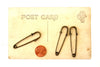 Metal Laundry Pin Style Pins in Antique Brass Finish, 2" long (Set of 3) - thirdshift