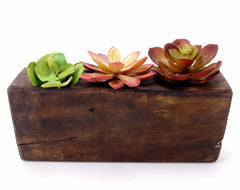 Vintage Wood Sugar Mold, 3 Openings (c.1920s) - thirdshift