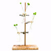 Vintage Industrial Cast Iron Lab Stand with Clamps, 3 Erlenmeyer Flasks (c.1950s) - thirdshift