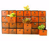 Vintage Dorman Parts Drawer Hardware Bin with 24 Drawers in Rustic Orange (c.1950s) N5 - thirdshift