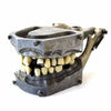 Vintage Metal Dental Model with Teeth and Fillings (c1960s) - thirdshift