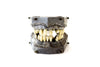Vintage Metal Dental Model with Teeth and Fillings (c1960s) - thirdshift