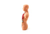 Vintage Human Anatomy Model with Removable Parts (c.1970s) - thirdshift