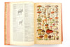 Vintage 1927 Nouveau Petit Larousse Illustre French Illustrated Dictionary (c.1927) - thirdshift
