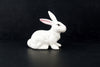 Vintage Rabbit Figures in White Ceramic, Set of 3 (c.1980s) - thirdshift