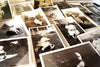 Vintage Black and White Photograph Collection of Children, 23 Photos (c.1920s) - thirdshift