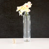 Tall Clear Glass Cylinder Bottle / Vial with Cork (6.73" tall x 1.46" diameter) 4 ounce capacity - thirdshift