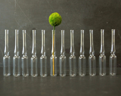 Vintage Glass Ampule 2 ml, Set of 12 (c.1980s) - thirdshift