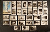 Vintage Photograph Collection from Yellowstone National Park, Set of 30 (c.1920s) - thirdshift