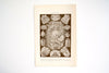 Vintage / Antique Ichthyology Book Plate Engraving in Black and White (c.1900s) N2 - thirdshift