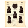 Vintage Winchester Woodchuck Shooting Target, 12 x 9 inches (c.1950s) - thirdshift