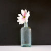 Vintage E.C. DeWitt Aqua Glass Apothecary Bottle, Doctors Elixir (c.1920s) - thirdshift