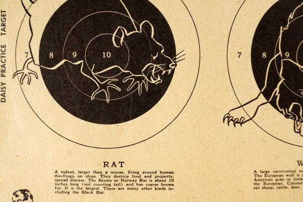 Vintage Rat and Wolf Daisy Practice Target, 9 x 7 inches (c.1950s ...