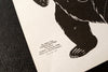 Vintage Black Bear Shooting Target, 11 x 17 inches (c.1970s) - thirdshift
