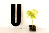 Vintage Industrial Marquee Sign Letter "U", Black on Clear Acrylic, 10" tall (c.1970s) - thirdshift