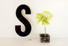 Vintage Industrial Marquee Sign Letter "S", Black on Clear Acrylic, 10" tall (c.1970s) - thirdshift