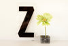 Vintage Industrial Marquee Sign Letter "Z", Black on Clear Acrylic, 10" tall (c.1970s) - thirdshift