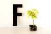 Vintage Industrial Marquee Sign Letter "F", Black on Clear Acrylic, 10" tall (c.1970s) - thirdshift