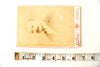Antique Photograph Cabinet Card of Man from St. Louis Missouri (c.1893) - thirdshift