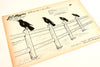 Vintage J.C. Higgins Rail Bird Target No. 12 Paper Shooting Target, 9 x 6 inches (c.1940s) - thirdshift